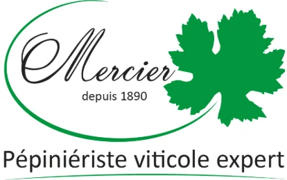 Calardis Blanc e GRN: due innovazioni genetiche per le bollicine di domani