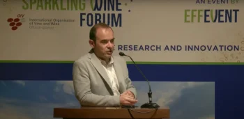 [SWF24] L'effet aromatique de l'utilisation de différents types de sucres et de MCR dans les vins effervescents