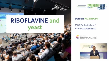 [SWF25] Riboflavin: results of the latest characterization work on yeast strains to limit riboflavin levels