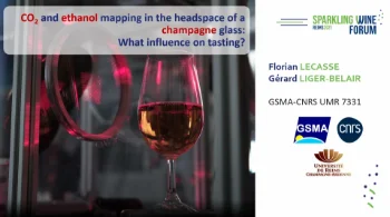 [SWF25] Mapping CO2 and ethanol in the headspace of a glass of champagne : what influence does this have on tasting?