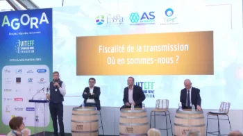 [VITEFF25] Taxation of wine-growing business transfers: where do we stand?