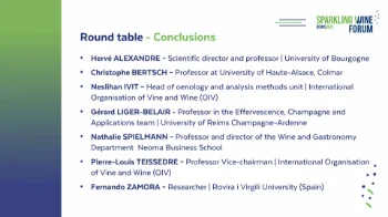 [SWF25] Forum closing round table
