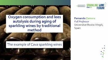 [SWF25] Consommation d'oxygène et autolyse des lies lors de l'élevage des vins effervescents en méthode traditionnelle