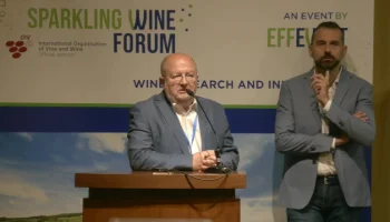 [SWF24] Causes, prévention et traitement de la réduction des vins effervecents