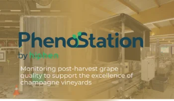 [SWF23] PhenoStation by Hiphen: Monitoring Post Harvest Grape Quality Using AI-powered Image Analytics