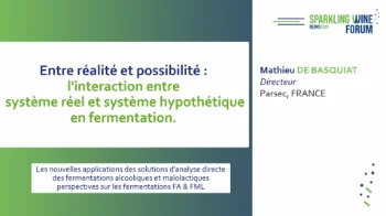[SWF25] Between reality and possibility: the interaction between real and hypothetical systems in fermentation. New applications of direct analysis solutions for alcoholic and malolactic fermentation