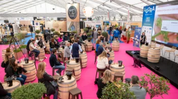 [VITEFF25] MASTERCLASS Innovation variétale et cépages résistants : quels enjeux dans la production des vins effervescents ?