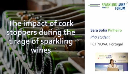 [SWF25] The impact of corks when drawing sparkling wines