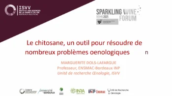[SWF25] Le chitosane dans l'élaboration des vins effervescents : innovation en clarification et contrôle microbien