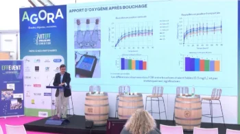 [VITEFF25] Du chêne-liège au bouchon de Tirage : AMORIM au cœur de l’alliance entre forêt et Champagne