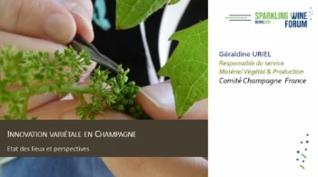 [SWF25] L'innovation variétale en Champagne