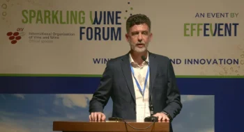 [SWF24] Exploration de l'impact du pressurage du raisin sur la composition du moût et du vin