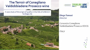 [SWF25] Les terroirs des vins de Conegliano Valdobbiadene Prosecco : une étude de cas sur l'origine de la qualité dans les collines du site du patrimoine de l'Unesco