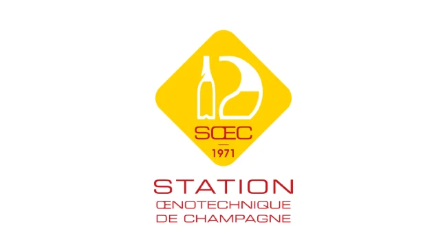 Low Alcohol Sparkling Wines and NoLo Wines: Market Trends and Technical Operating Protocols