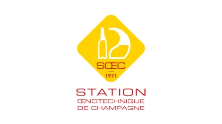 Low Alcohol Sparkling Wines and NoLo Wines: Market Trends and Technical Operating Protocols