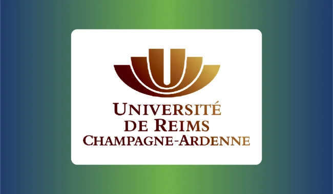 Dalla vigna al valore: strategie per i viticoltori della regione dello Champagne