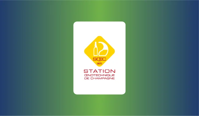 Innovazioni e sfide della sboccatura