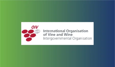 La situación del sector vitivinícola mundial