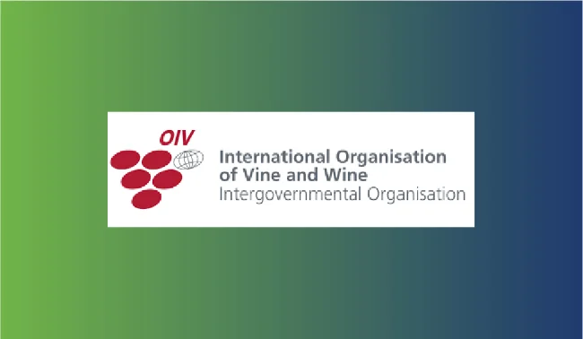 The state of the global wine sector